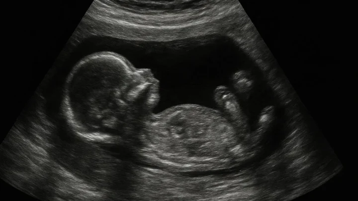 First Trimester Checklist: Essential Steps for New Moms