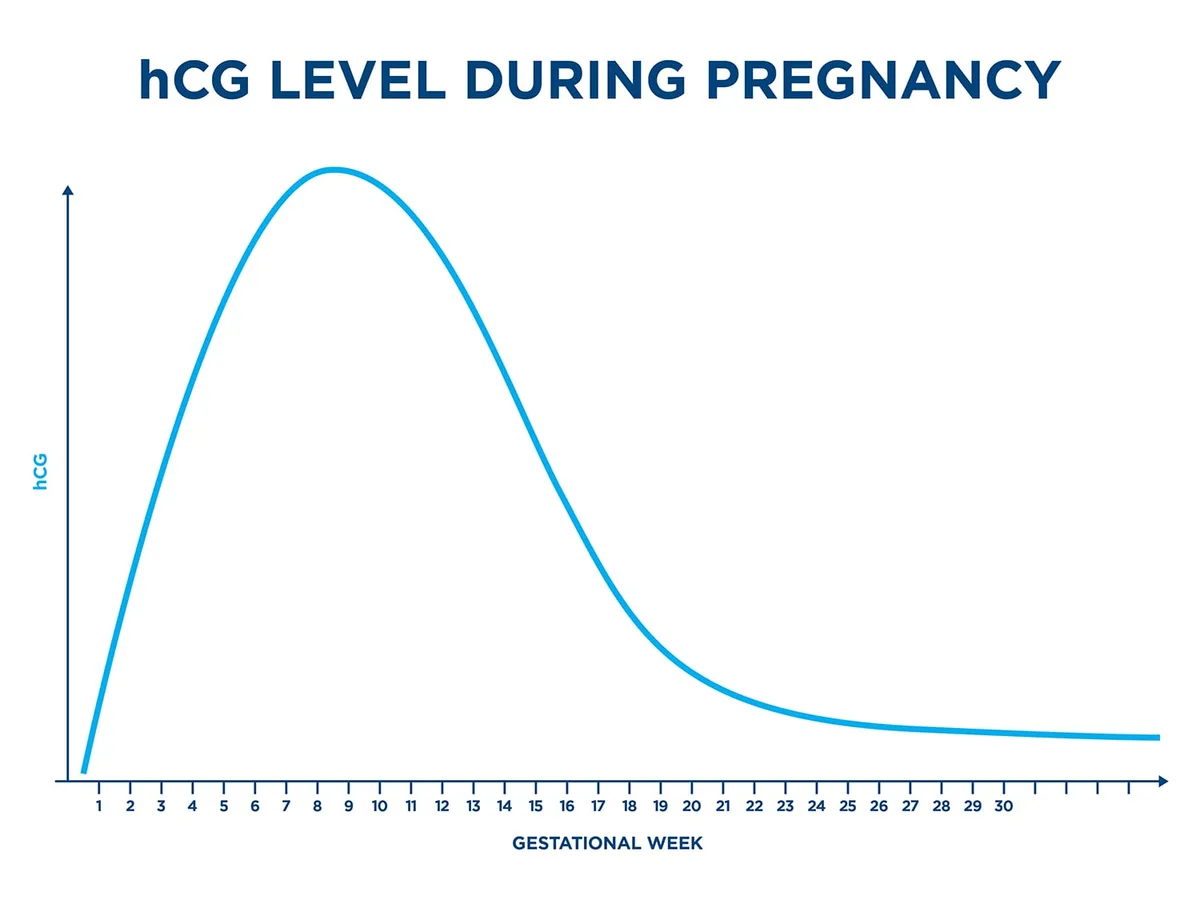Human Chorionic Gonadotropin hCG levels chart