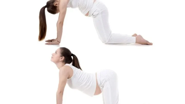 Gentle Pregnancy Stretches: A Safe Beginner’s Routine