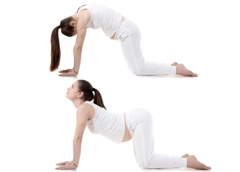 pregnancy stretching routine for beginners