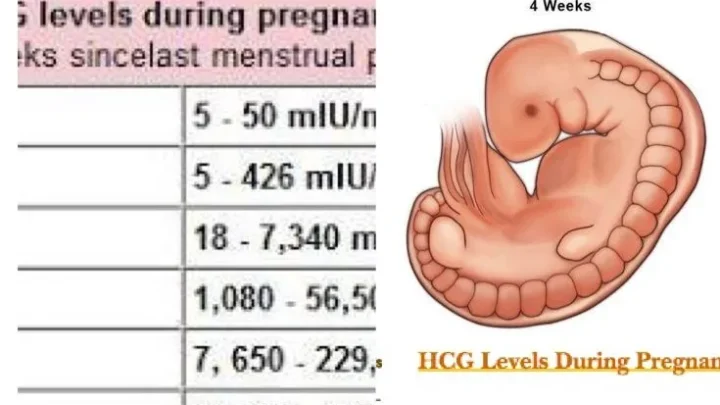 Early Pregnancy Symptoms: 10 Common Signs in First Trimester