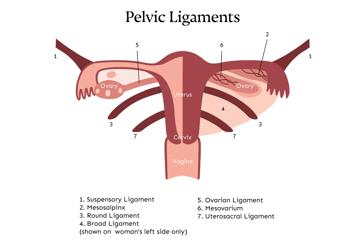 Round ligament pain